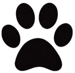 Dog & Cat Veterinarian in Wilmington NC